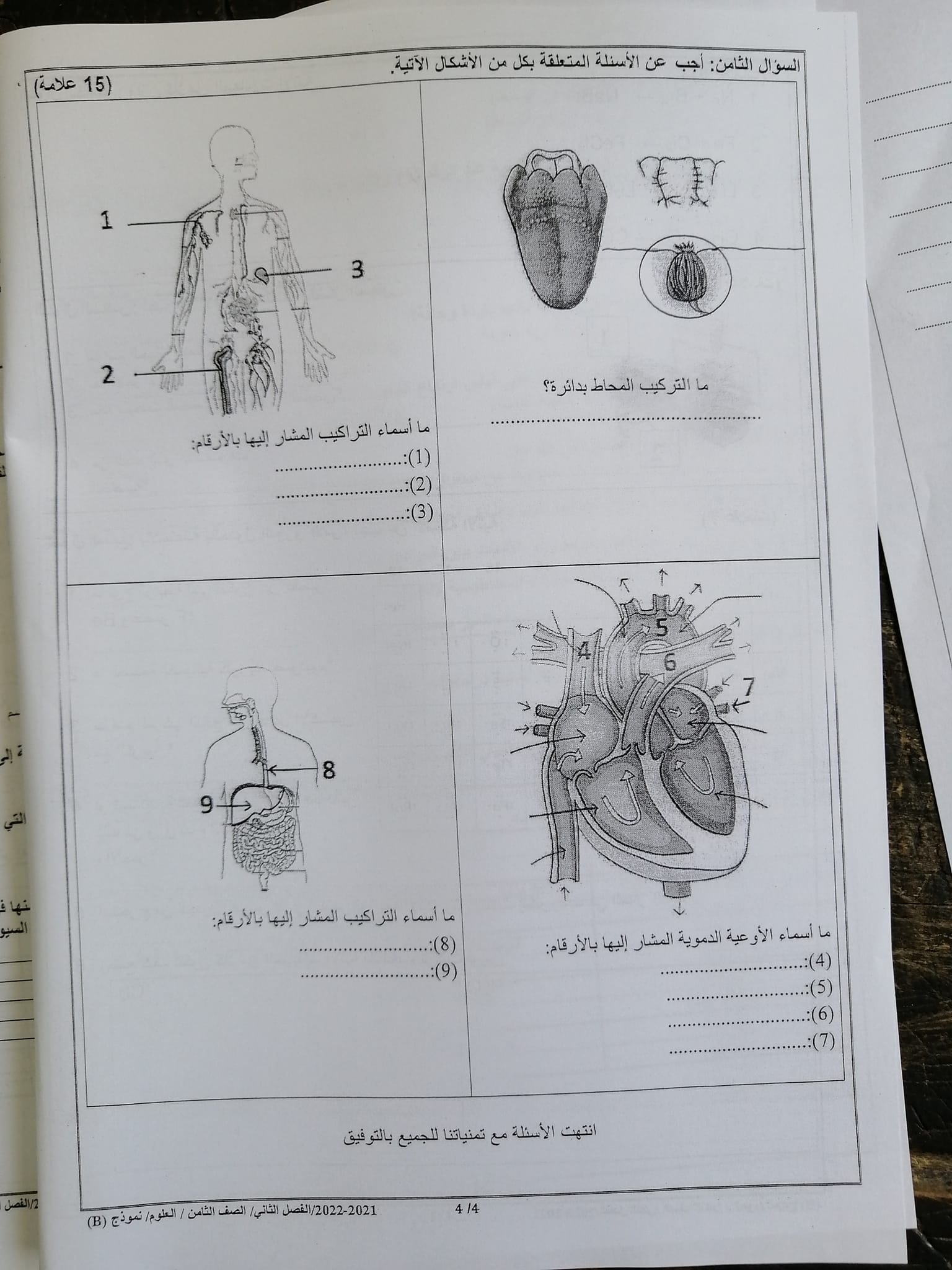 MzQyMTAxMQ36364 بالصور امتحان العلوم النهائي للصف الثامن الفصل الثاني 2022 نموذج B وكالة